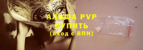 гашик Пестово