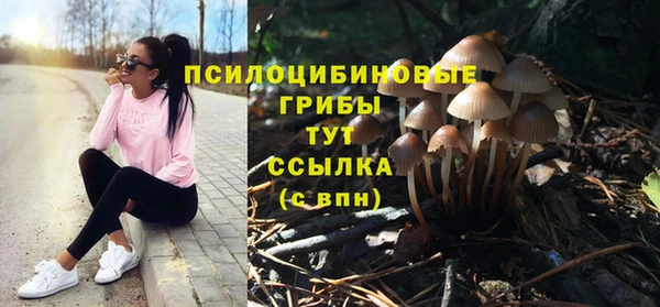 стафф Нязепетровск